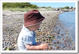 Albert enjoying himself on the seashore